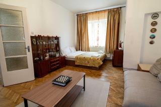 Retro Green Cottage with a Barkyard - Pet Friendly - Braşov - 4