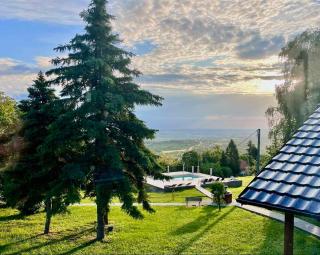 Imanje POGLED - Arandjelovac - 9