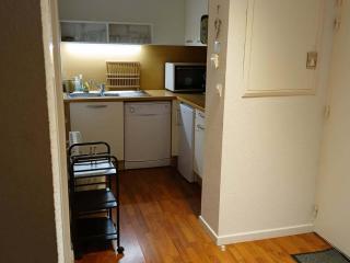 Appartement 2 Pièces Cabine avec Terrasse - FR-1-504-131 - 1