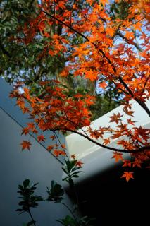 Hangzhou Lingyin Keye Homestay - Hangzhou - 7