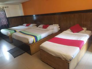 Sanman Regency next to Jaganmohan Palace - Mysore - 4