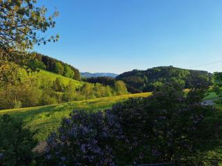 Ferienwohnung Landliebe - - 1