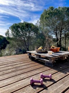 Beautiful country home immersed in pine nut farm - São Teotónio - 2