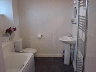 The Plough - Wigglesworth - 6