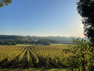 pigeon house in a vineyard - Les Lèves-et-Thoumeyragues - 8