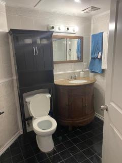 Peace and Comfort 1-bedroom basement Apartment - Brampton - 4
