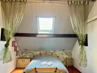 PARIS-DISNEY Homestay - 0