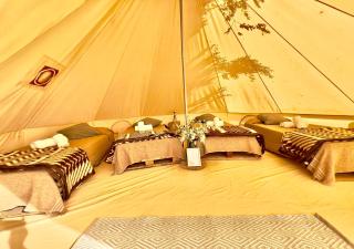 REFUGIO Natural Glamping - Lobos - 6