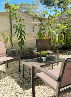 Hotel Casa Selva y Arte Bacalar -Gratis Bicis & Kayyaks - Bacalar - 2