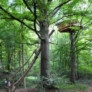 Domaine de Fontaine Châtel - 6