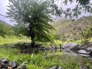 Yaxshigulhomestay - 1