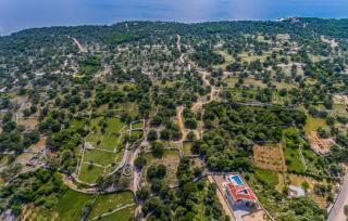 Villa Lun T - Island Pag by Villas Guide - Lun - 1