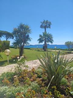 Cannes Studio Vue mer Panoramique Château de la Mer - Cannes - 3