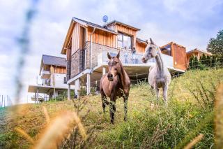 Golden Hill Country Chalets & Suites - Waldschach - 5