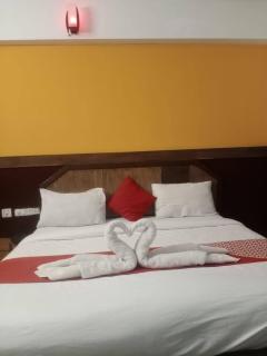 Sanman Regency next to Jaganmohan Palace - Mysore - 2
