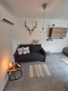 Tiny House Am Goldbach - Halberstadt - 8