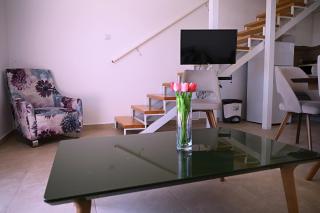 Apartments Danica - Petrovac na Moru - 5