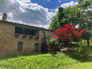 Il Nascondiglio - The Hideaway - Amandola - 2