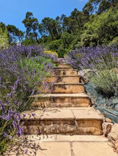 Magnifique Villa avec Piscine - 7