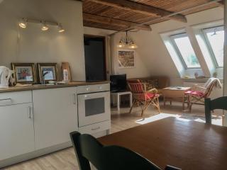 Byvej 24 Landhouse Apartment 1 - Fåborg - 2