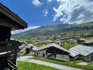Studio confortable, proche pistes, animaux admis - FR-1-356-525 - Valmorel - 1