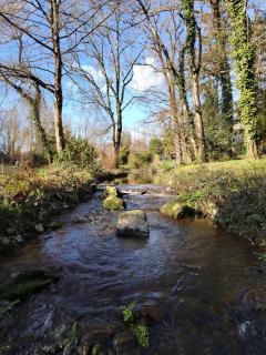 Un studio dans un cadre bucolique - Sainte-Marie - 3