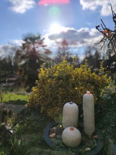 Un studio dans un cadre bucolique - Sainte-Marie - 3