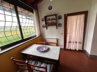Villa Il Mandorlino - Castiglioni - 7