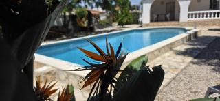 Riumar "Cologne", 300m to beach, private pool, On-Site-Service, dog beach - Riumar - 0