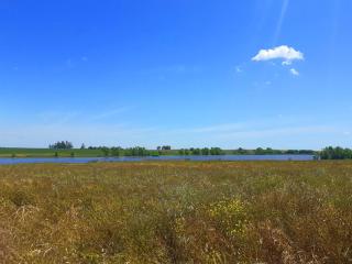 Las Margaritas -  - 9