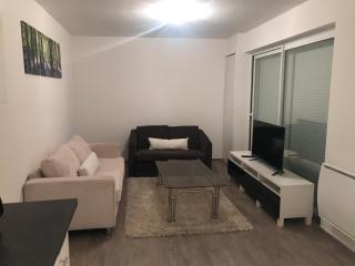 Bel Appartement T2 - Annemasse - 5