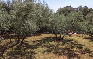 Villa Lu 2 Krk by Villas Guide - Malinska - 2
