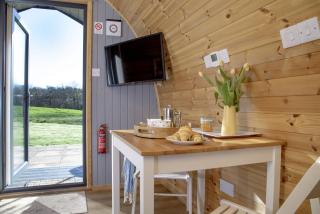 Demelza - Liskeard - 2