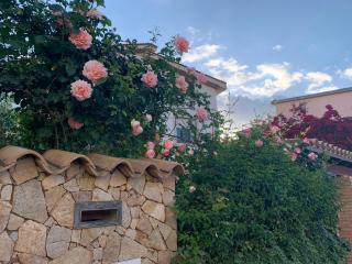 Marco's house - Dolianova - 9