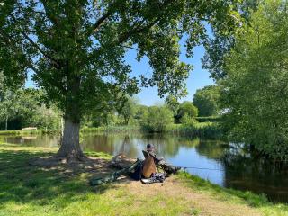 Acorns - Plaitford - 2