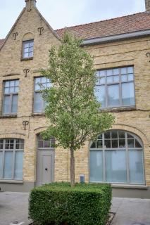 Huis Langestraat 52 - Nieuwpoort - 9