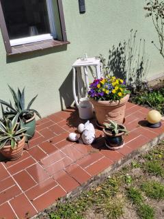 Wohnung Waltraud - Plattenburg - 8