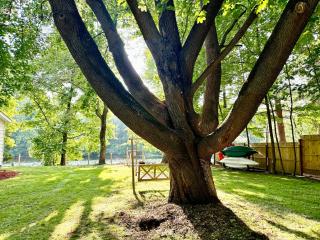 Family Lake House Waterfront - Saugerties - 0