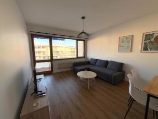 M2 Marquer Appartement spacieux et lumineux avec balcon à deux pas du centre ville - Annemasse - 2
