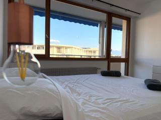 M2 Marquer Appartement spacieux et lumineux avec balcon à deux pas du centre ville - Annemasse - 7
