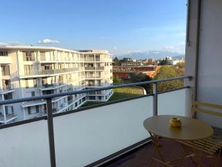 M2 Marquer Appartement spacieux et lumineux avec balcon à deux pas du centre ville - Annemasse - 5