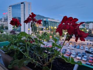 Matchbox Apartment Sarajevo - Sarajevo - 7