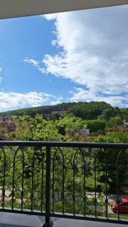 Duma Apartmani 2 Vrnjačka Banja - Vrnjačka Banja - 8