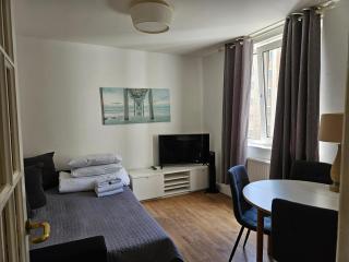 1 Bedroom Apartment near 3Museums - Londra - 3