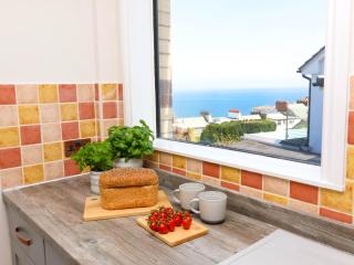 Combe View - Ilfracombe - 3