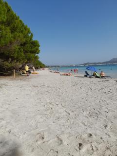 Casita relax - Port d'Alcudia - 6