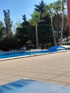 Relax in the sun - 6