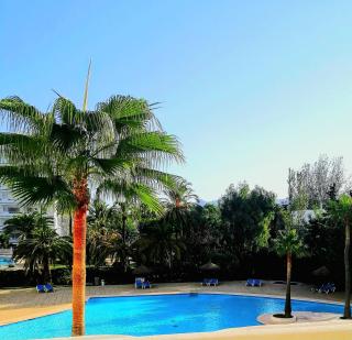 Relax in the sun - 7
