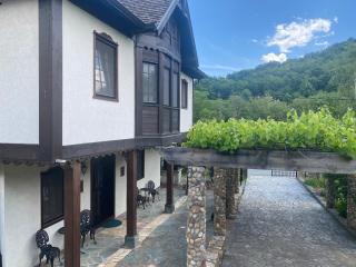 Miletića čardak Ribarska Banja - Ribarska Banja - 2