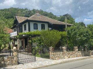 Miletića čardak Ribarska Banja - Ribarska Banja - 3